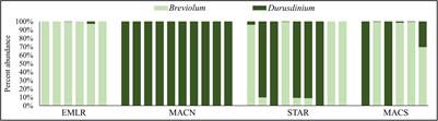 Molecular Mechanisms of Coral Persistence Within Highly Urbanized Locations in the Port of Miami, Florida